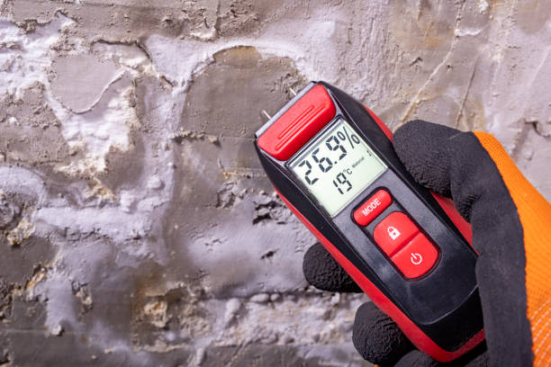 Best Crawl Space Mold Removal  in Fort Hood, TX