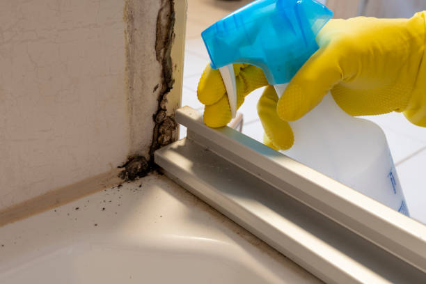 Best Emergency Mold Removal  in Fort Hood, TX